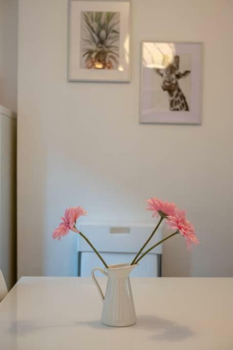 Galway City Cottage מראה חיצוני תמונה